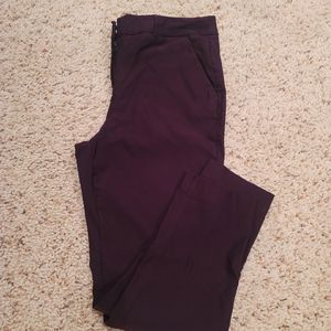 Women's Darl Eggplant cropped dress pant